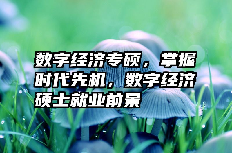 数字经济专硕，掌握时代先机，数字经济硕士就业前景