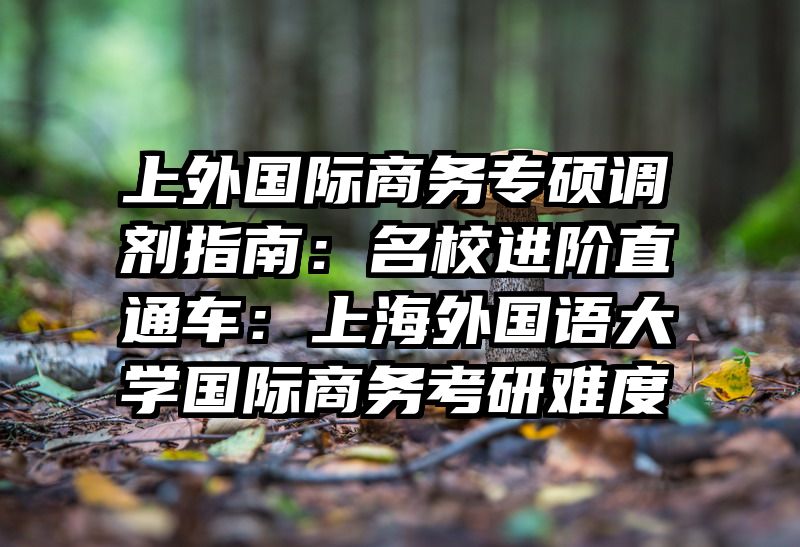 上外国际商务专硕调剂指南：名校进阶直通车：上海外国语大学国际商务考研难度