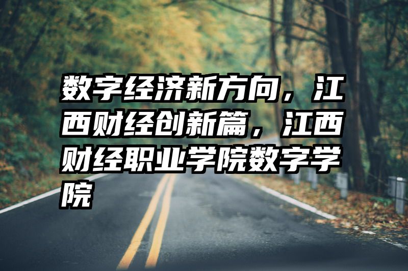 数字经济新方向，江西财经创新篇，江西财经职业学院数字学院