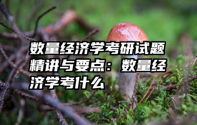 数量经济学考研试题精讲与要点：数量经济学考什么