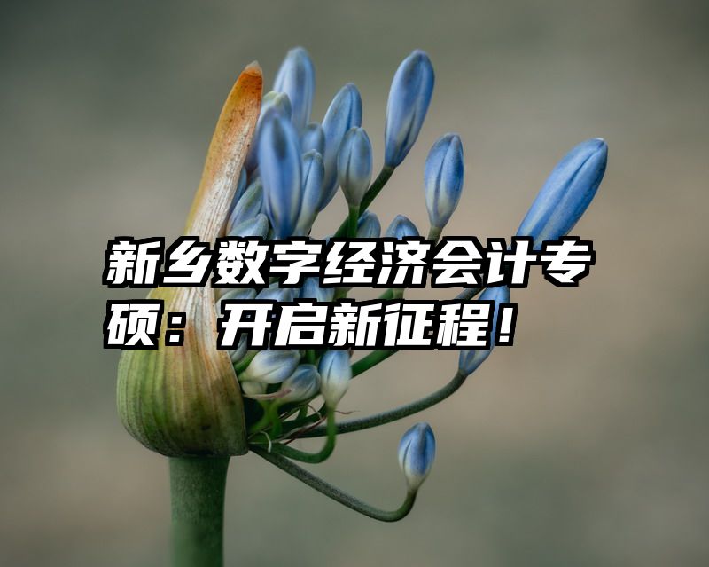 新乡数字经济会计专硕：开启新征程！