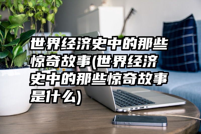 世界经济史中的那些惊奇故事(世界经济史中的那些惊奇故事是什么)