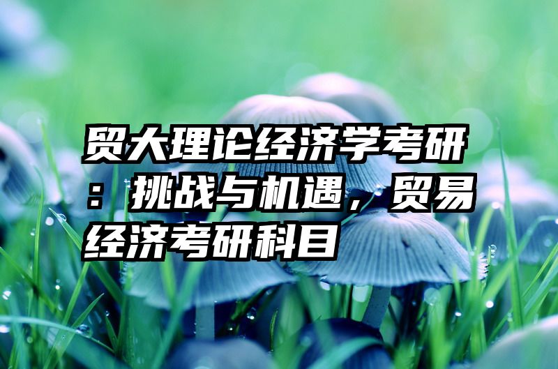 贸大理论经济学考研：挑战与机遇，贸易经济考研科目