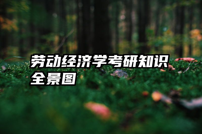 劳动经济学考研知识全景图