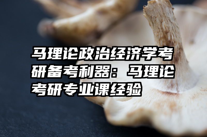 马理论政治经济学考研备考利器：马理论考研专业课经验