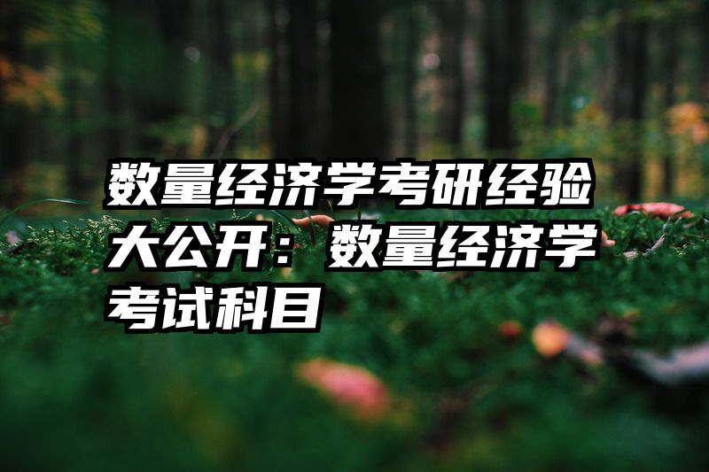 数量经济学考研经验大公开：数量经济学考试科目