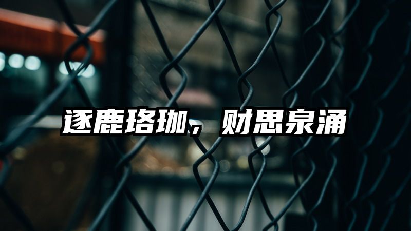 逐鹿珞珈，财思泉涌