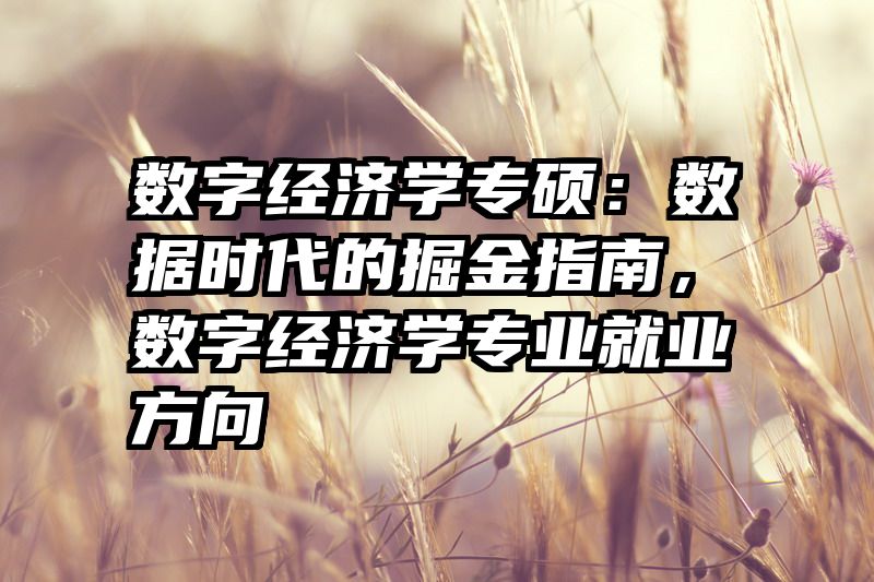 数字经济学专硕：数据时代的掘金指南，数字经济学专业就业方向