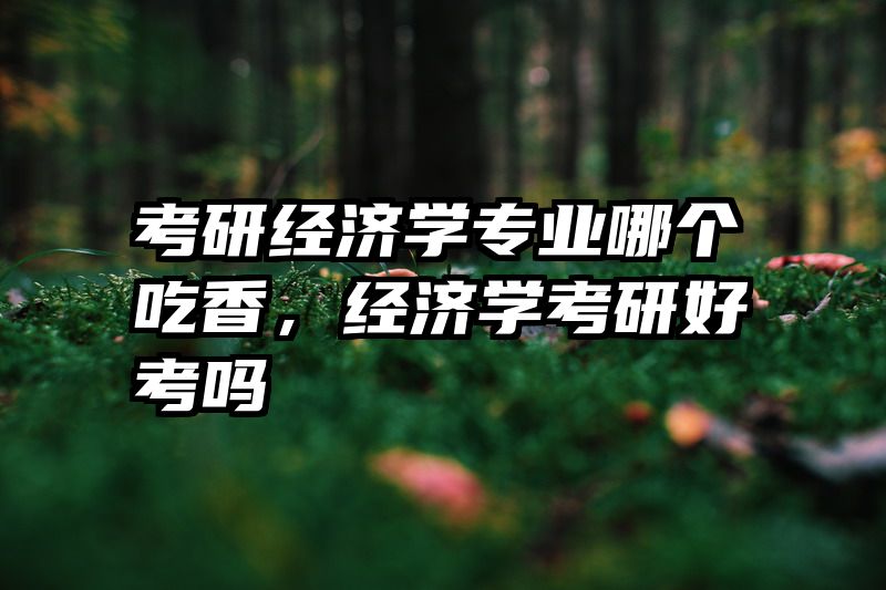 考研经济学专业哪个吃香，经济学考研好考吗