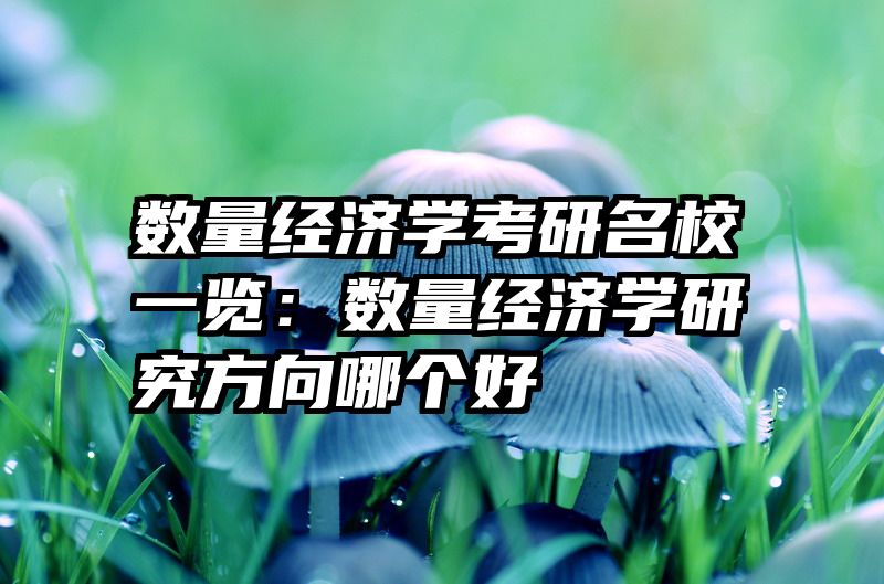 数量经济学考研名校一览：数量经济学研究方向哪个好