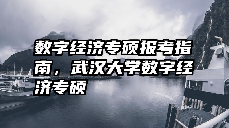 数字经济专硕报考指南，武汉大学数字经济专硕