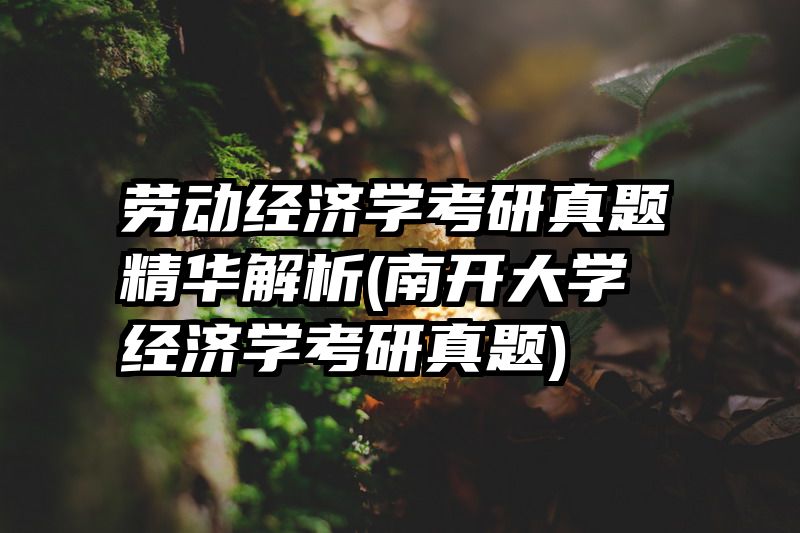 劳动经济学考研真题精华解析(南开大学经济学考研真题)