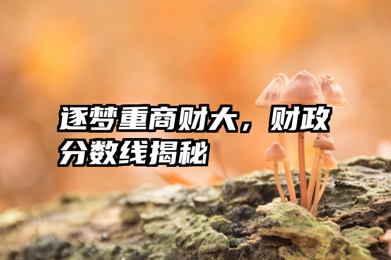 逐梦重商财大，财政分数线揭秘