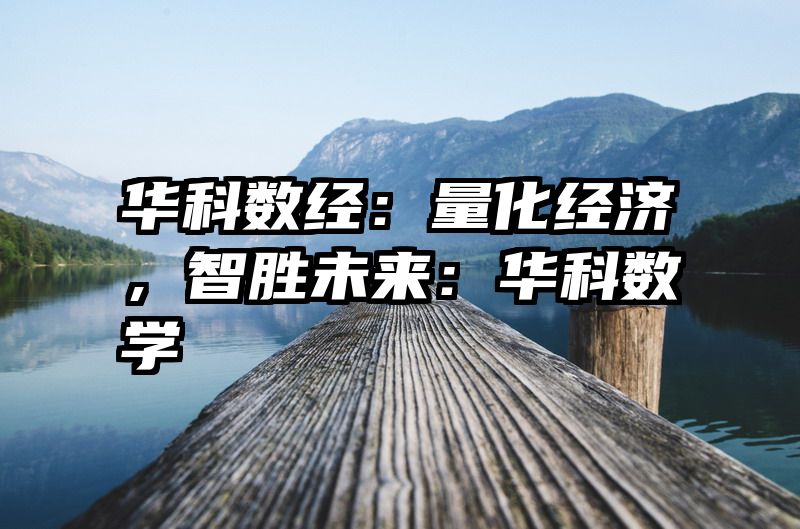 华科数经：量化经济，智胜未来：华科数学