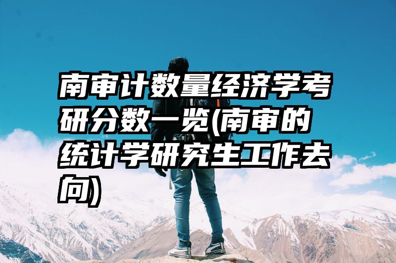 南审计数量经济学考研分数一览(南审的统计学研究生工作去向)