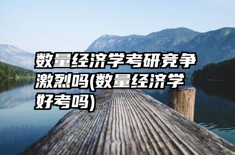 数量经济学考研竞争激烈吗(数量经济学好考吗)