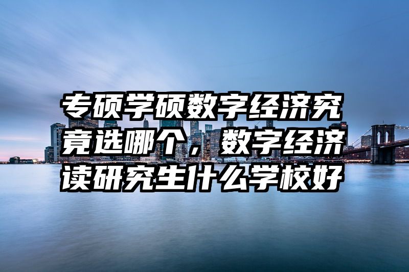 专硕学硕数字经济究竟选哪个，数字经济读研究生什么学校好