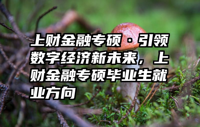 上财金融专硕·引领数字经济新未来，上财金融专硕毕业生就业方向