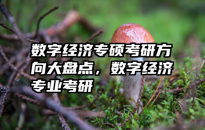 数字经济专硕考研方向大盘点，数字经济专业考研