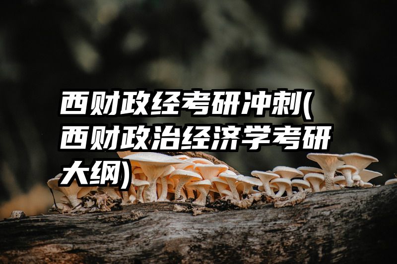 西财政经考研冲刺(西财政治经济学考研大纲)