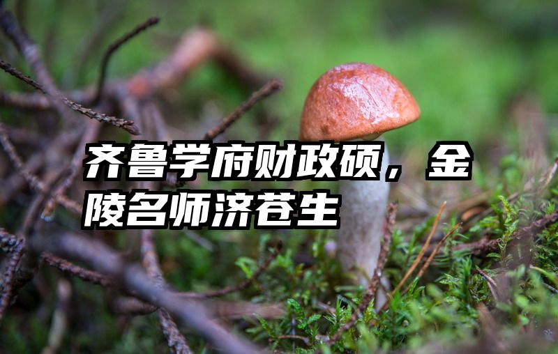 齐鲁学府财政硕，金陵名师济苍生