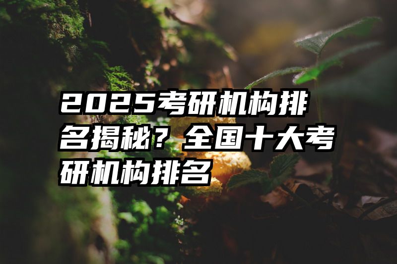 2025考研机构排名揭秘？全国十大考研机构排名