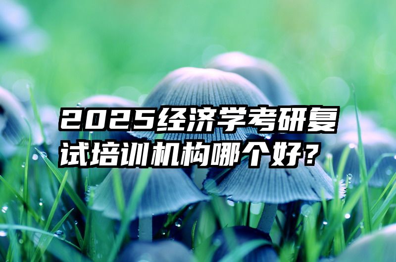 2025经济学考研复试培训机构哪个好？