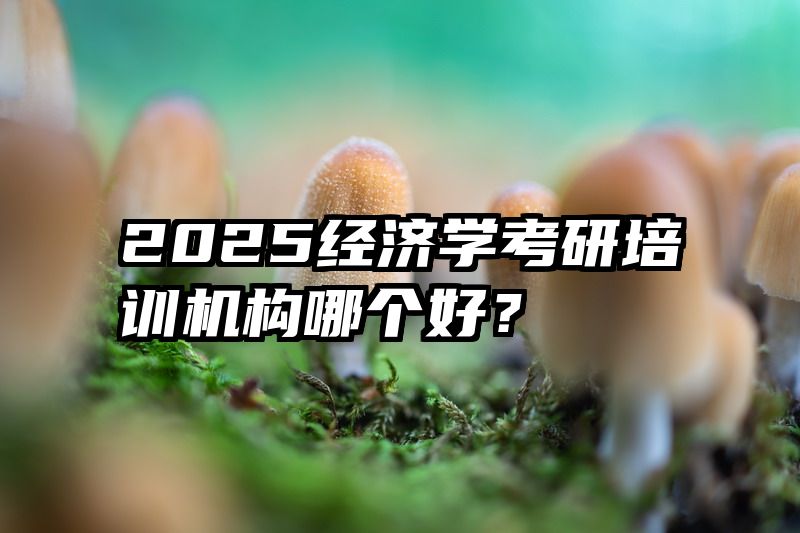 2025经济学考研培训机构哪个好？