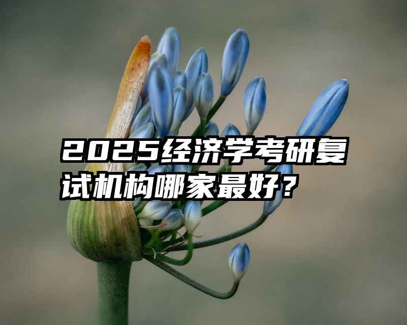 2025经济学考研复试机构哪家最好？