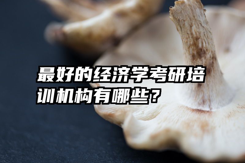 最好的经济学考研培训机构有哪些？