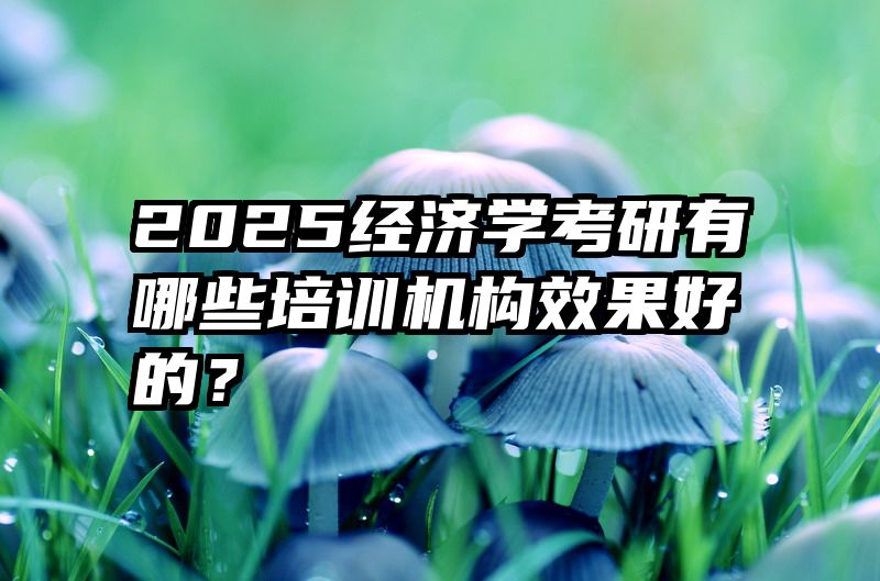 2025经济学考研有哪些培训机构效果好的？