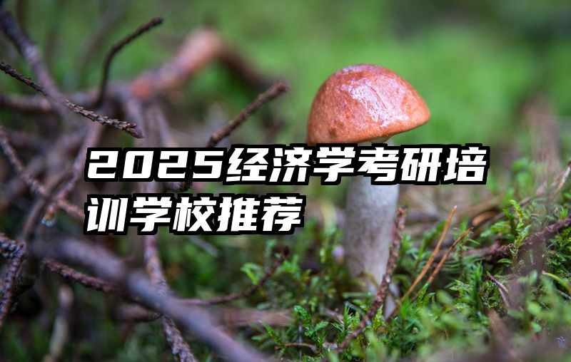 2025经济学考研培训学校推荐