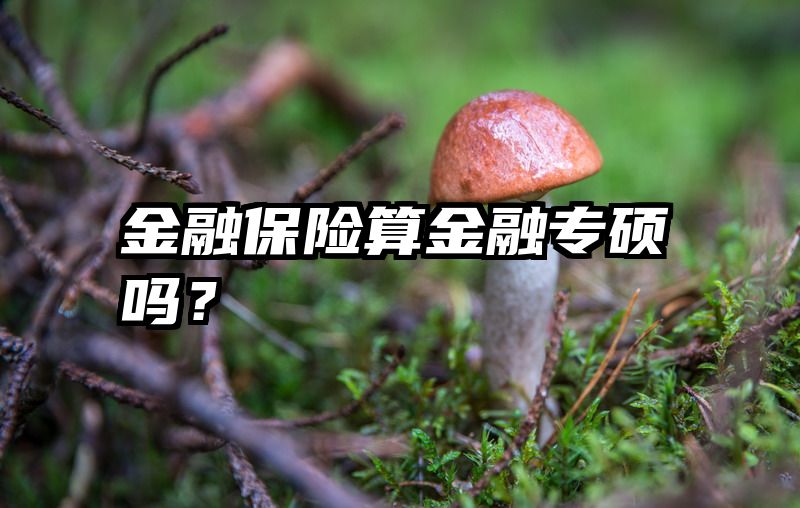 金融保险算金融专硕吗？