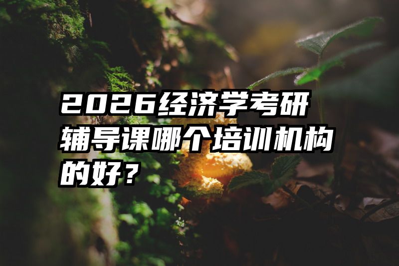 2026经济学考研辅导课哪个培训机构的好？