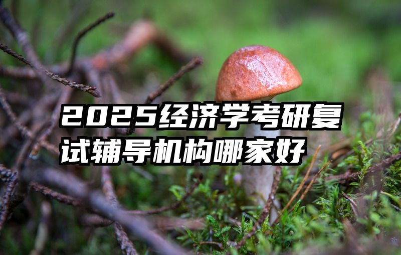 2025经济学考研复试辅导机构哪家好