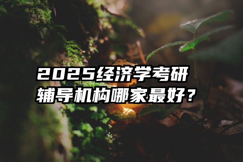 2025经济学考研辅导机构哪家最好？