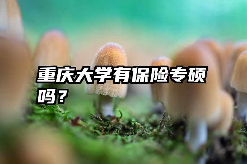 重庆大学有保险专硕吗？