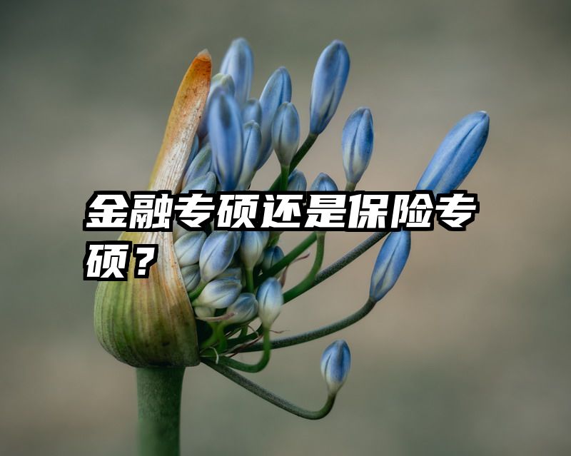 金融专硕还是保险专硕？