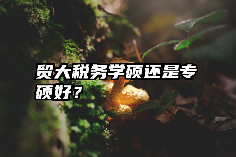 贸大税务学硕还是专硕好？