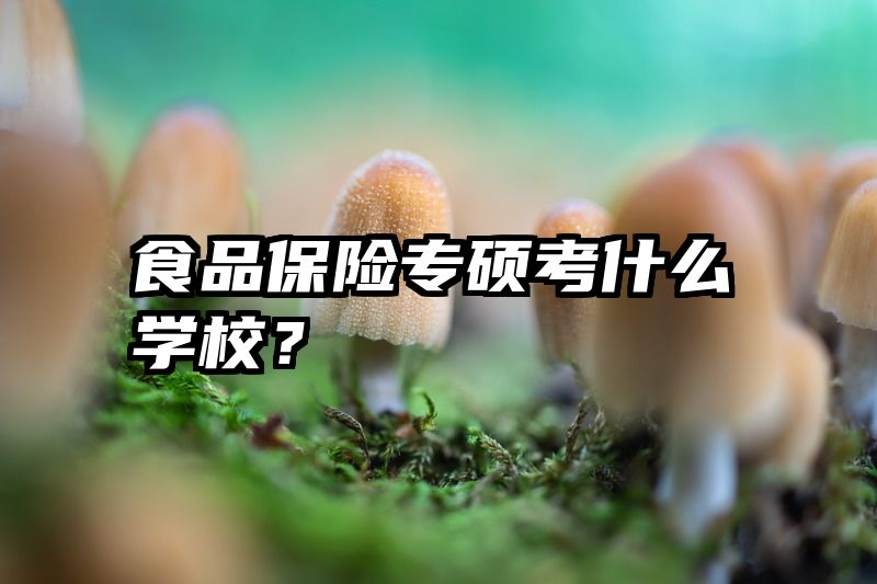 食品保险专硕考什么学校？