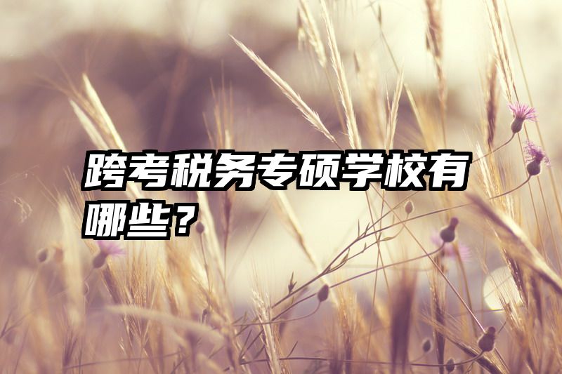 跨考税务专硕学校有哪些？