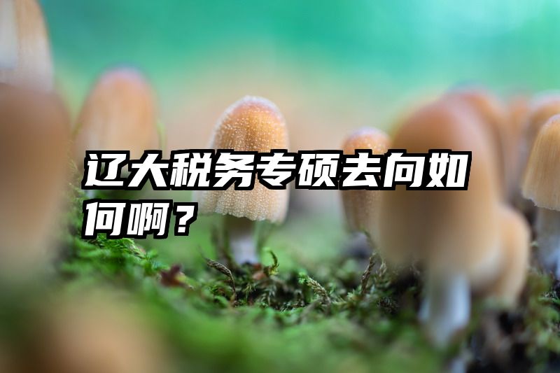 辽大税务专硕去向如何啊？