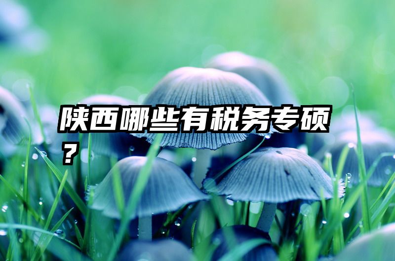 陕西哪些有税务专硕？