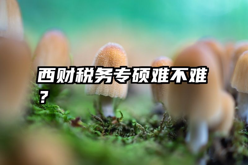 西财税务专硕难不难？