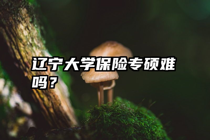 辽宁大学保险专硕难吗？