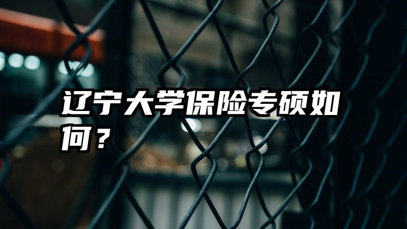 辽宁大学保险专硕如何？