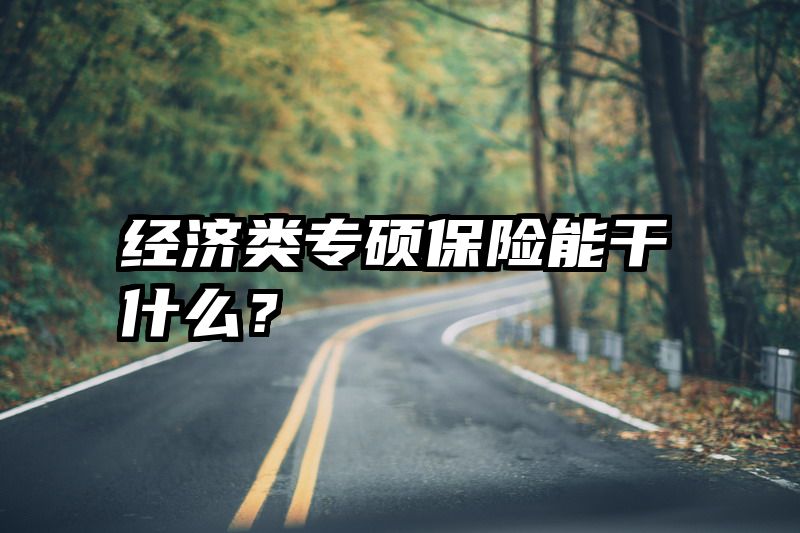 经济类专硕保险能干什么？