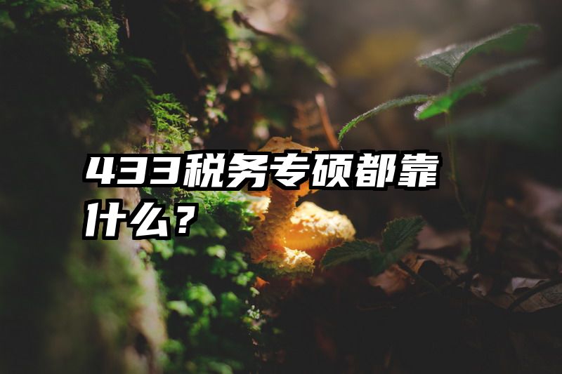 433税务专硕都靠什么?