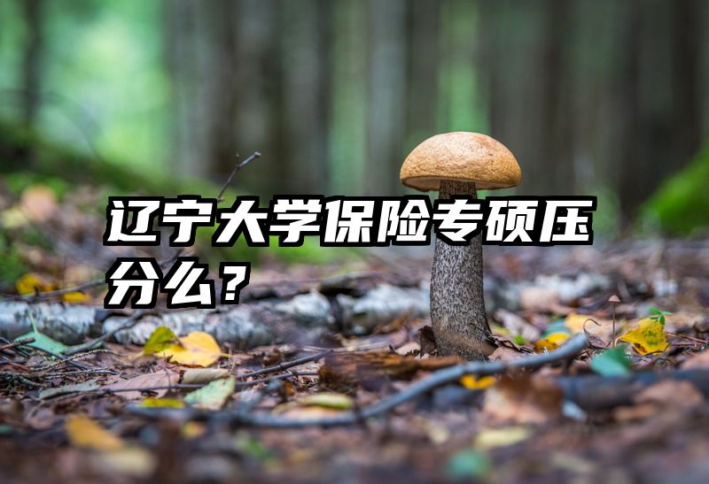 辽宁大学保险专硕压分么？