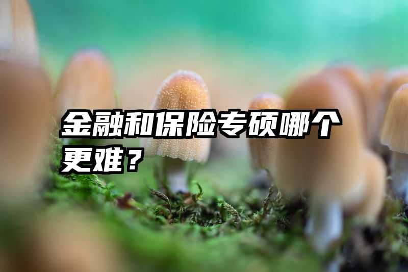 金融和保险专硕哪个更难？